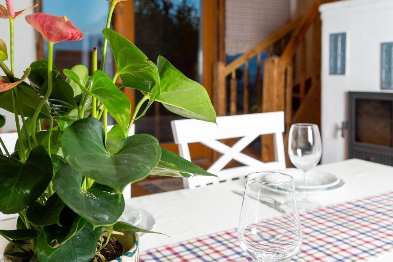 Casele Cu Stuf B&B Haus Ulrike Sălicea Eksteriør billede