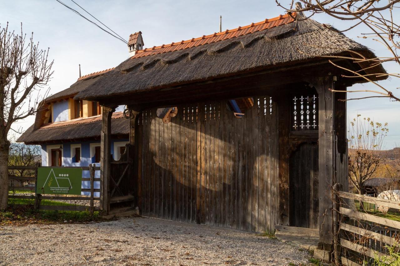 Casele Cu Stuf B&B Haus Ulrike Sălicea Eksteriør billede