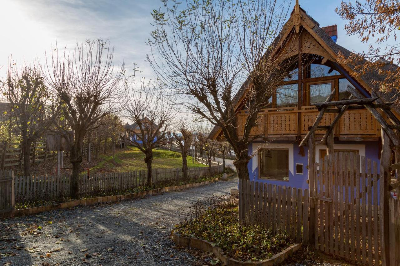 Casele Cu Stuf B&B Haus Ulrike Sălicea Eksteriør billede