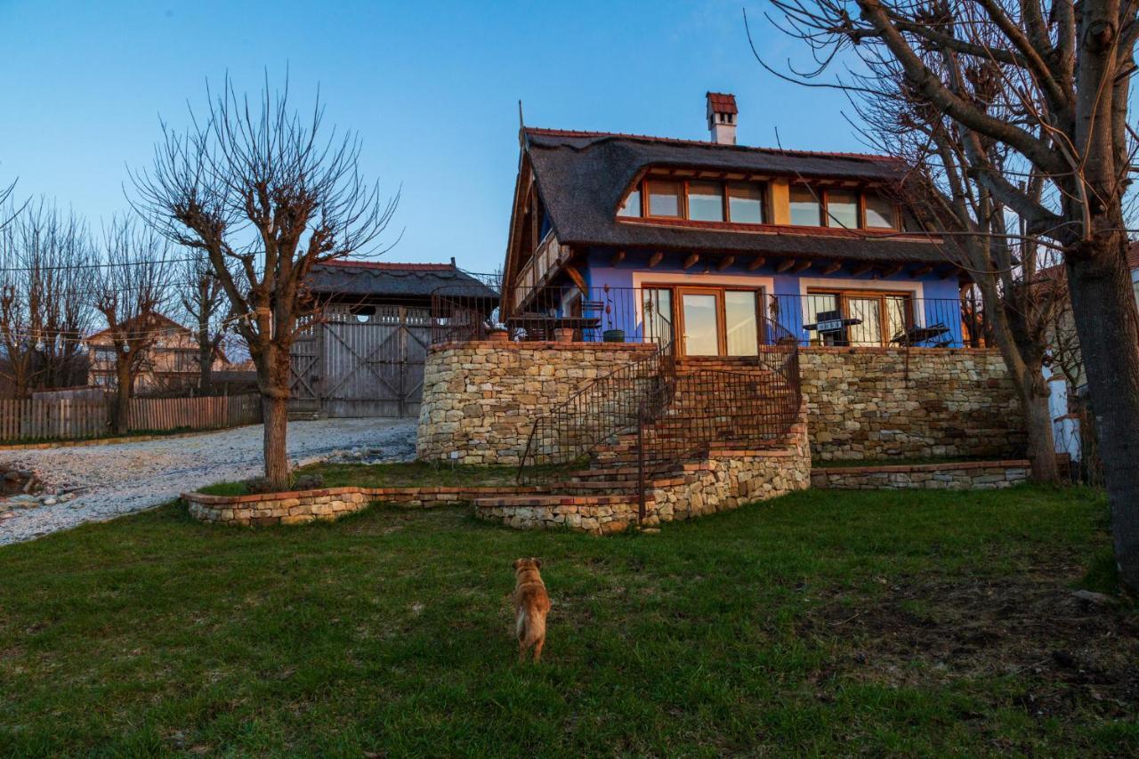 Casele Cu Stuf B&B Haus Ulrike Sălicea Eksteriør billede