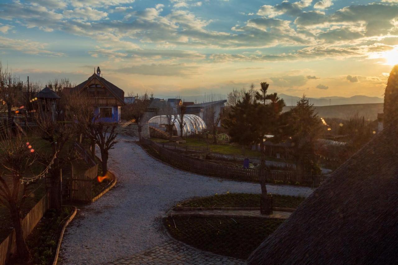 Casele Cu Stuf B&B Haus Ulrike Sălicea Eksteriør billede