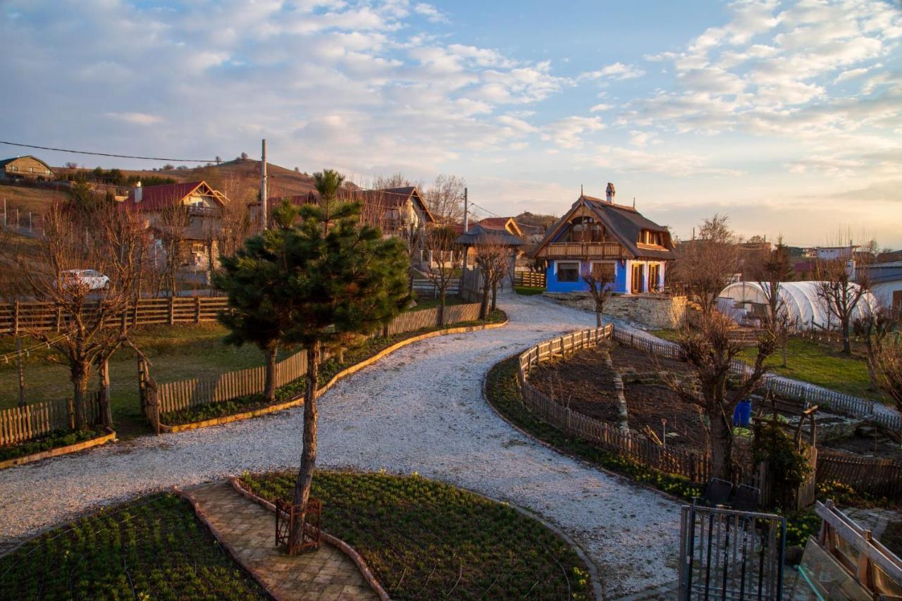 Casele Cu Stuf B&B Haus Ulrike Sălicea Eksteriør billede