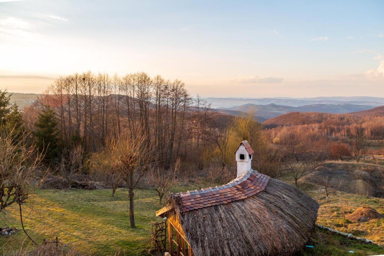 Casele Cu Stuf B&B Haus Ulrike Sălicea Eksteriør billede