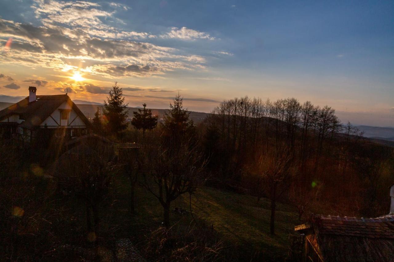 Casele Cu Stuf B&B Haus Ulrike Sălicea Eksteriør billede