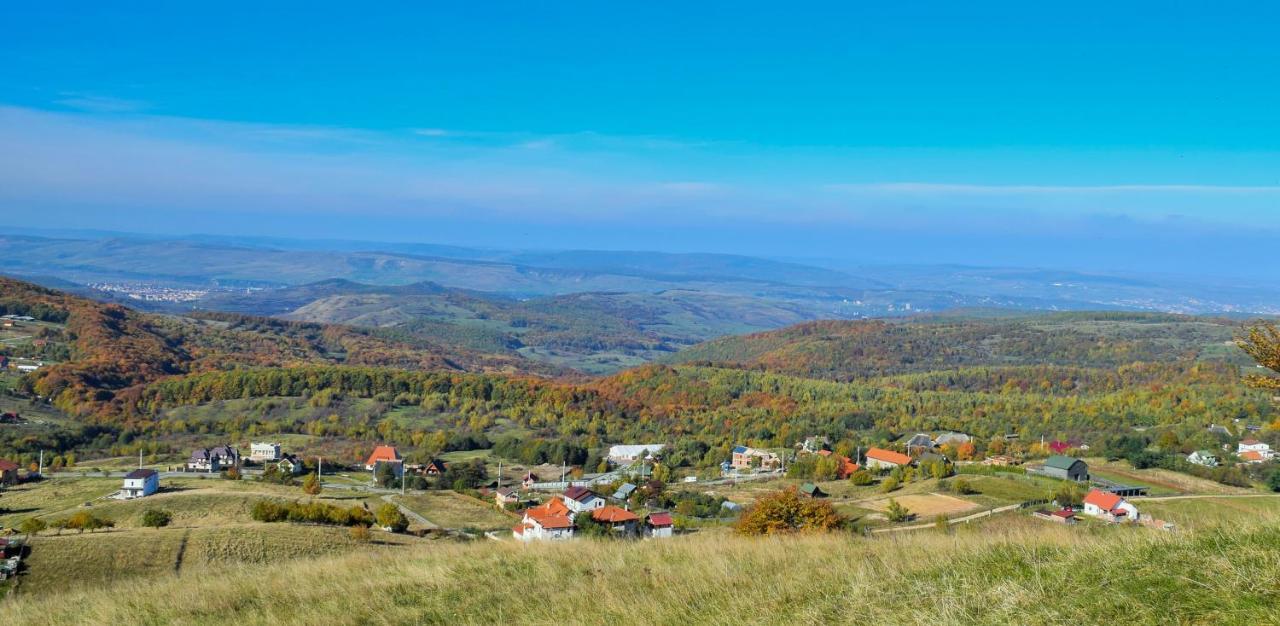 Casele Cu Stuf B&B Haus Ulrike Sălicea Eksteriør billede