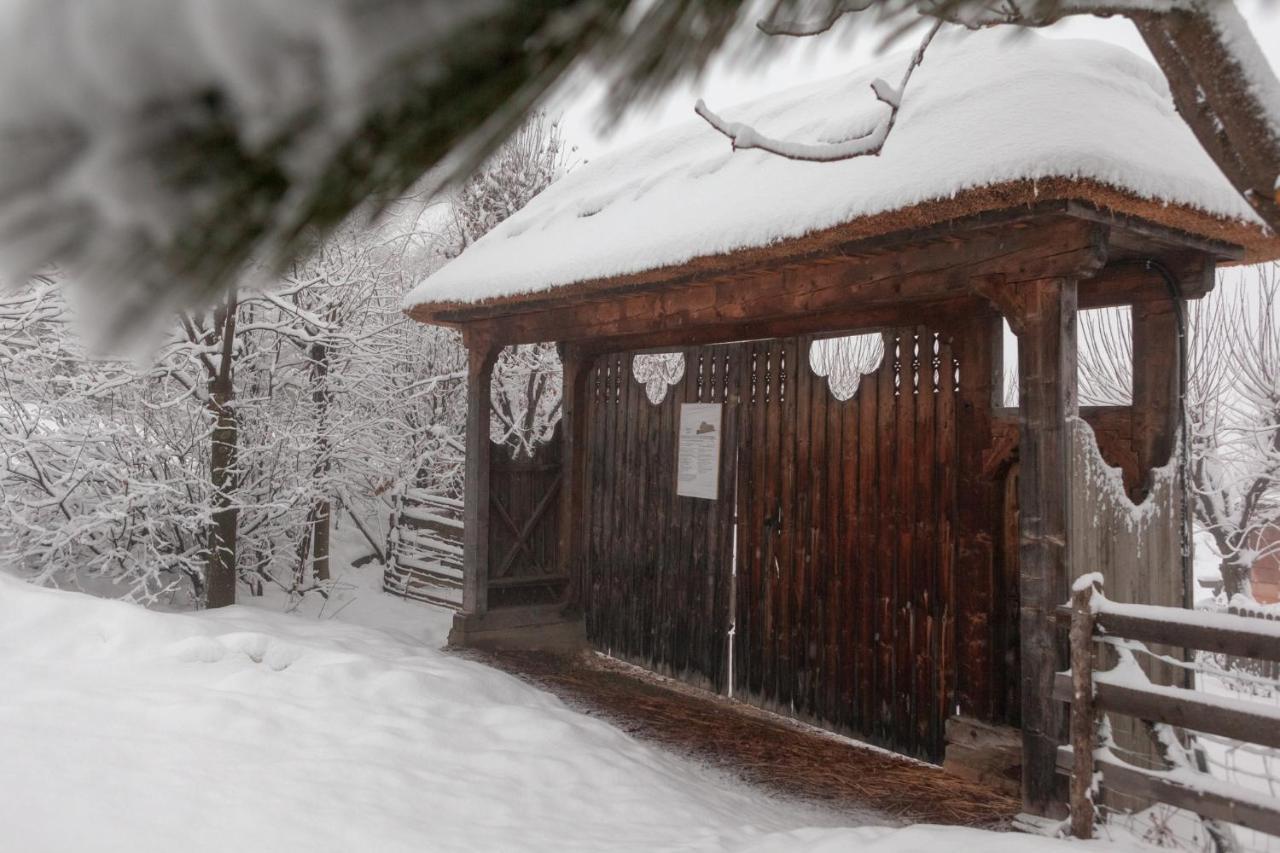 Casele Cu Stuf B&B Haus Ulrike Sălicea Eksteriør billede