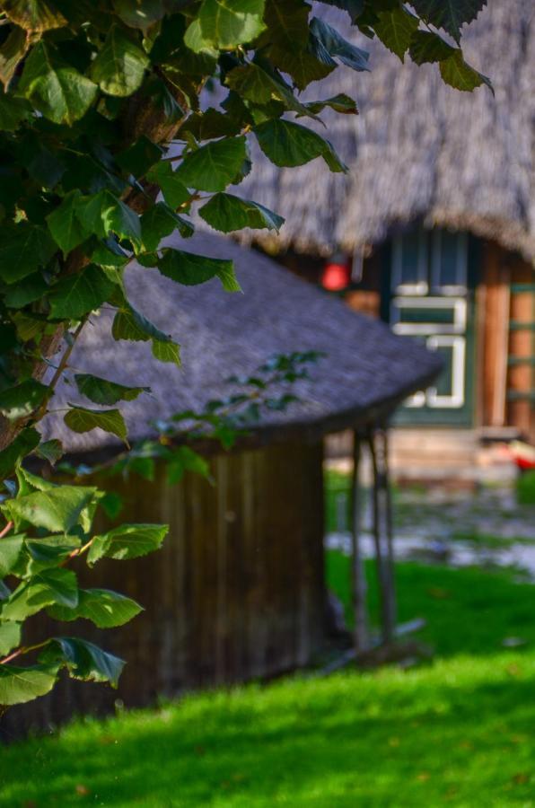 Casele Cu Stuf B&B Haus Ulrike Sălicea Eksteriør billede