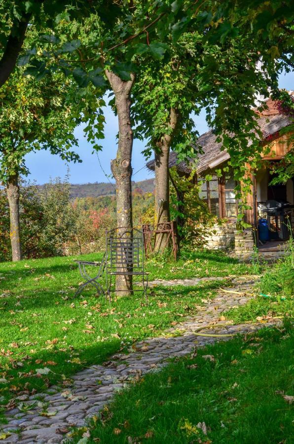 Casele Cu Stuf B&B Haus Ulrike Sălicea Eksteriør billede