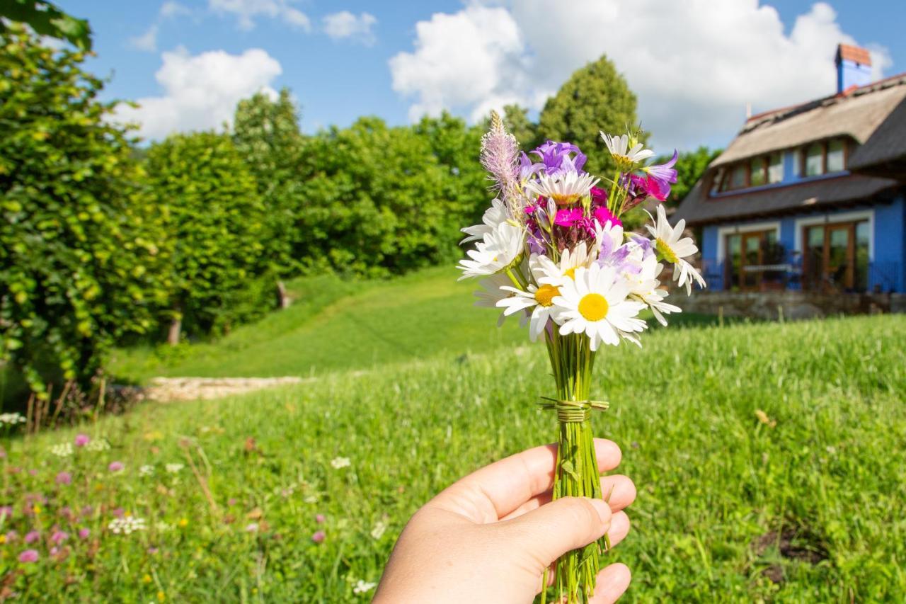 Casele Cu Stuf B&B Haus Ulrike Sălicea Eksteriør billede