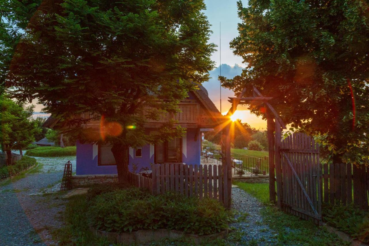 Casele Cu Stuf B&B Haus Ulrike Sălicea Eksteriør billede