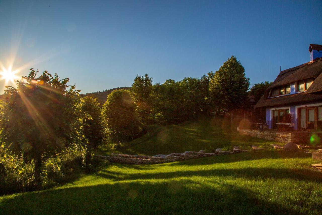 Casele Cu Stuf B&B Haus Ulrike Sălicea Eksteriør billede
